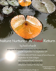 Art, Photography, Exhibition, Reception, Nature, Wild, Community Event, Music, Free