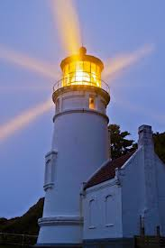 health, healing, wellness, conscious evolution, wellbeing, growth, change, transformation, chiropractic, nsa, network, spinal, analysis, lifehouse, dr. norm, entrainments, nanaimo, bc