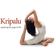 kripalu yoga, yoga, wellness, meditation, self-acceptance