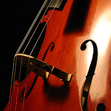 Music, Artists, cello, violin, piano, concert, romantic