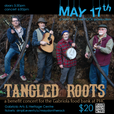 music, roots, celtic, guitar, mandolin, foot stomping