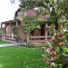 Cidery, cider, apples, harvest