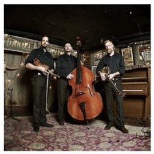The Lonesome Ace Stringband, bluegrass, mandolin, fiddle, guitar, bass, chris coole, john showman, live music, concert, oak bay, folk music, roots music