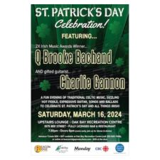 Celtic, St. Patrick's Day, Irish, Ireland, Fiddle, Guitar, concert, live music, 