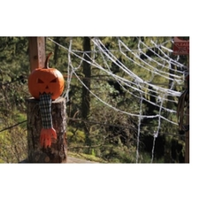 zipline, outdoors, haunted, Hallowe'en, adventure, tour, adrenaline, Victoria