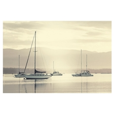 Sailboats, water, boats