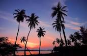 Tropical, palm trees, painting, fundraising, workshop, art