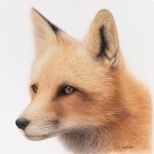 Painting, Brant Festival, DeCosmos, Art, Art Sale