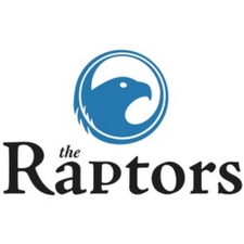 The Raptors, raptors, nature, outdoors, animals, birds, owls, eagles, hawks, falcons