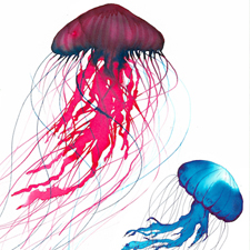 art, art classes, art courses, art school, drawing, painting, ink, jellyfish, nature, Fantastical Jellyfish