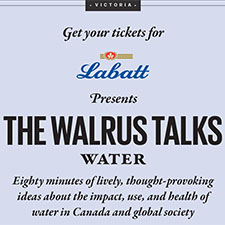 water, the walrus talks, labatt, talks, walrus, conference