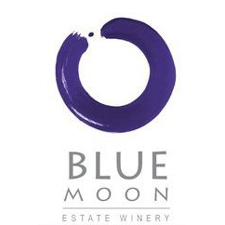 Blue Moon Kitchen, Business Luncheon, Meeting, Social Networking, Youtube, Facebook, LinkedIn, Twitter