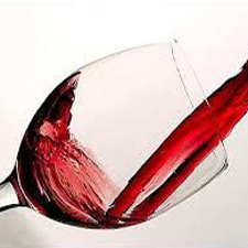 Wine, food, tasting, pairing, malbec, pinot noir