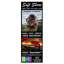 art, culture, arts, installation, glass, steel, photography, painting, cedar, carving, ocean, natural, salmon, Oceanside