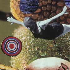 fringe, play, theatre, human body project, performance art