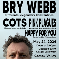 music, concert, all ages, Constantines