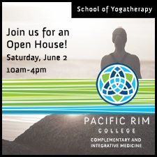 Yoga, Health, Wellness, Education