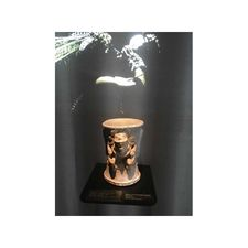 ancient Mayas, Mayan hierogyphics, stela