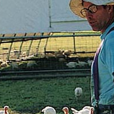 Salatin, Foxglove Farm, agriculture, livestock, farm, farming, Salt Spring