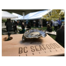 seafood, oysters, drinks, food, food trucks