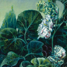 art, art classes, art courses, art school, drawing, Drawing Otherworldly Gardens