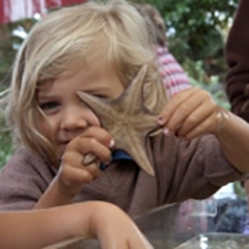 ocean, festival, celebration, children, kids, music, food