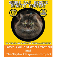 cats, shelter, animal, rescue, group, rescue, 