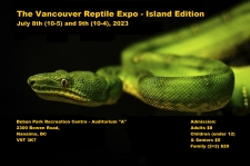 snake, lizard, turtle, tortoise, frog, tarantula, scorpion, exotic, pet
