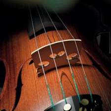 music, violin, recital, concert