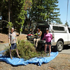 covenant, restoration, garden, conservation, outdoors