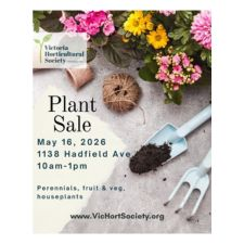 plants, veggies, perennials, houseplants