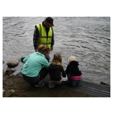 salmon, kids, rosewall creek, festival, environment