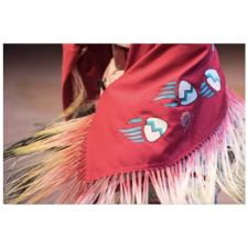 Hoop Dance, Pow Wow, Hip Hop, Rap, Culture, Cultural dance, Dance, baritone, poetry, teens, indigenous teens, allied teens, music, art, performing arts, spring break, workshop, all ages, fun, indigenous, First Nations, Black, POC, BIPOC, IBPOC