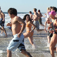 swimming, polar bear