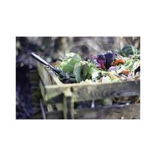 Garden, Gardening, Compost, composting