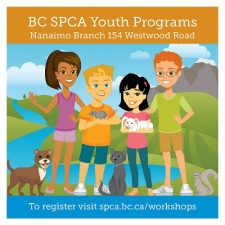 bcspca, spca, animals, fun, kids, kid, camp, day camp, games, crafts, workshops, activities