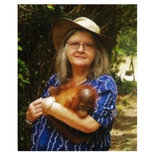 fundraiser, film, talk, primate, wild, palm oil, anthropology, primatology, lecture, donation, rainforest, borneo, sumatra, orangutan, environment