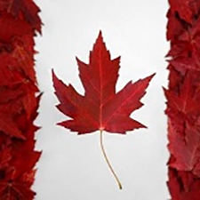 Canadian, flag, voting, elections, democracy