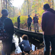Forest, Walk, Outdoor, Community, Courtenay