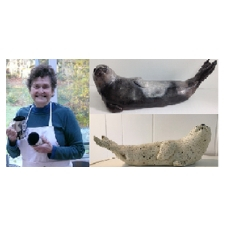 pottery, ceramics, crystalline, gifts, gallery