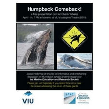humpback, presentation, safety, environment