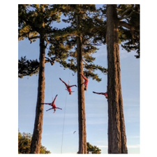 aerial, dancing, community, free, family, accessible