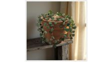 arts, crafts, plant, gemstone, planter, LostArtsClub