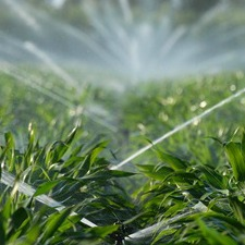 Irrigation, water