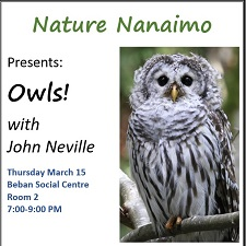 owls, nature nanaimo, John Neville, bird songs