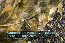 photography, tour, workshop, summer, Comox Valley, Catherine Babault