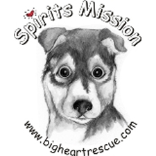 fund raiser, gala, dogs, cats, volunteers, big, heart rescue, auction, live, silent, fun
