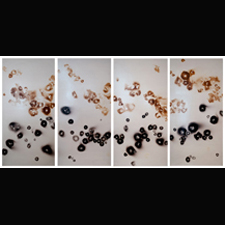 music, concert, art, gallery, artist, mushroom, experimental