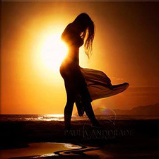 stress, healing, health, adrenal health, adrenal, body wisdom, wellness