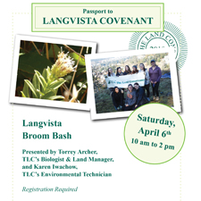 Passport to Nature, outdoor, Langvista, broom, aster